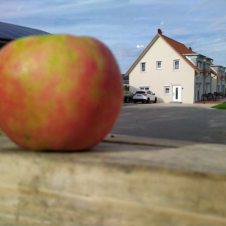 Ferienhof-Dachsberg Wohnung Highlander Bermatingen Dış mekan fotoğraf