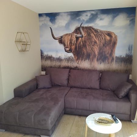 Ferienhof-Dachsberg Wohnung Highlander Bermatingen Dış mekan fotoğraf