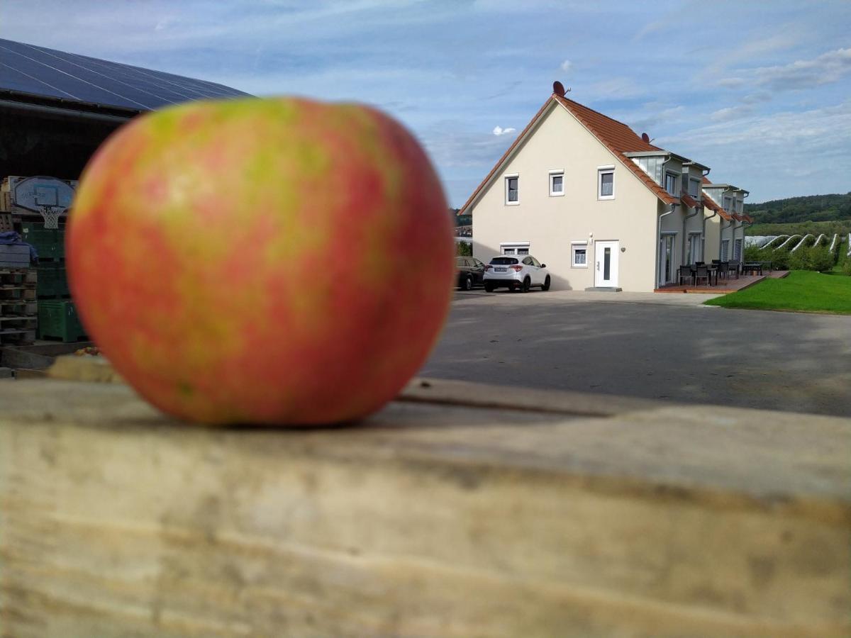 Ferienhof-Dachsberg Wohnung Highlander Bermatingen Dış mekan fotoğraf