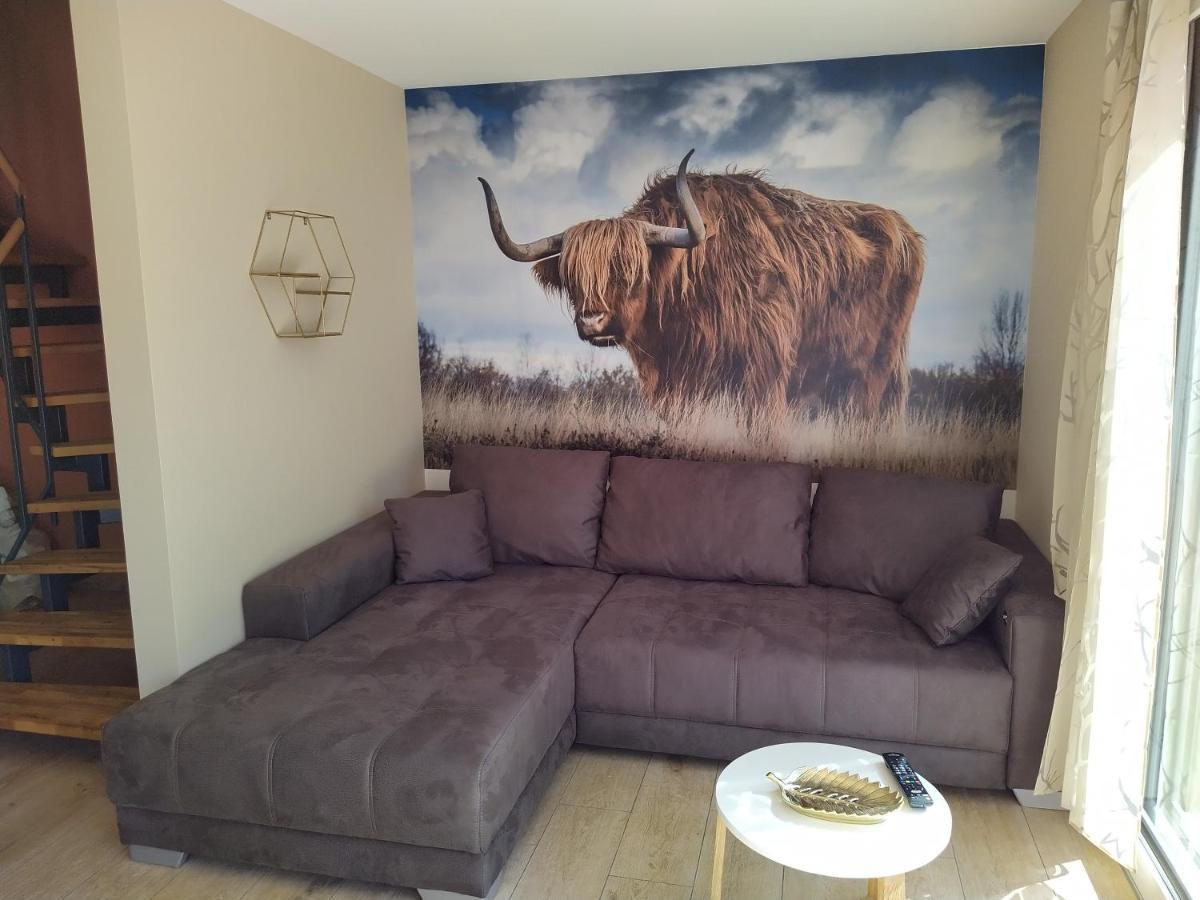 Ferienhof-Dachsberg Wohnung Highlander Bermatingen Dış mekan fotoğraf